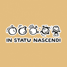 Design 38 - IN STATU NASCENDI