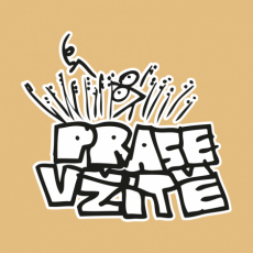 Potisk 510 - PRASE V ZITE