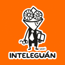 Design 547 - INTELEGUAN