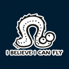 Potisk 1062 - I BELIVE I CAN FLY