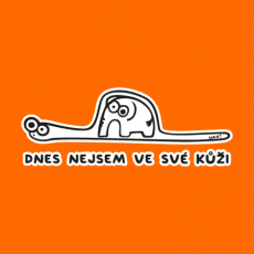 Design 1187 - NEJSEM VE SVÉ KŮŽI