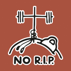 Design 5169 - NO R.I.P