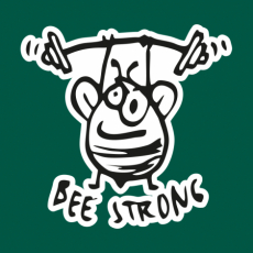 Design 5246 - BEE STRONG 2