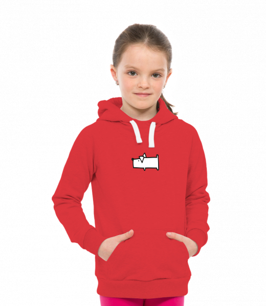 CHILDREN'S SWEATSHIRTS LIGHT WITH HOOD