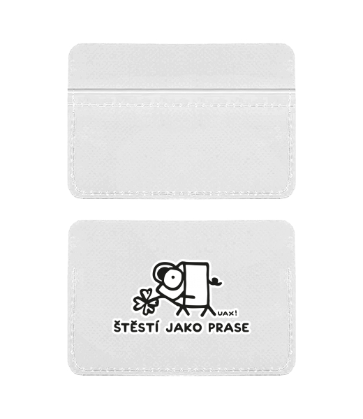 SLIM CARD HOLDER